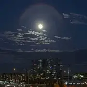 今晚体能课后；夏洛特黄蜂造点机会备战NBA常规赛；赛场秩序良好；资深球员宣示担当的简单介绍